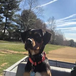 Meet your Posher, Patrick